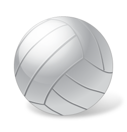 Volleyball Team Picture
